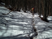 46 neve sul sentiero nel bosco...